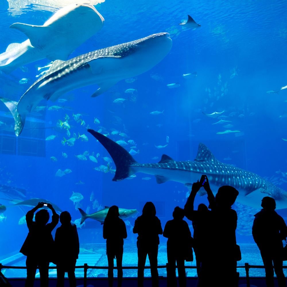 Dubai Aquarium